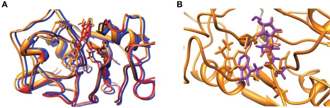 Figure 6