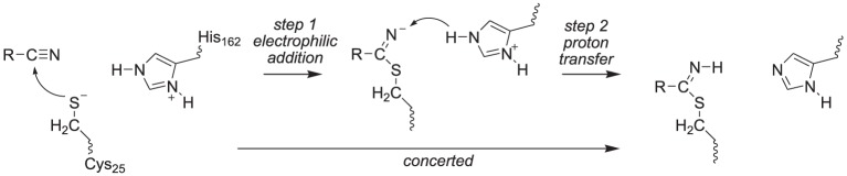 SCHEME 3