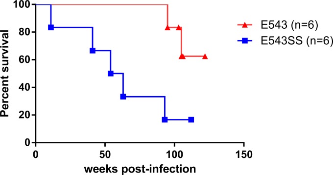 FIG 2