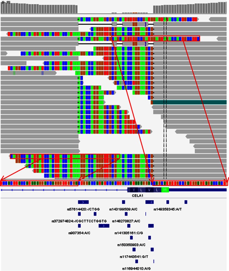 Figure 3.