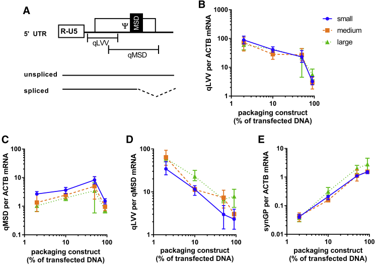 Figure 5