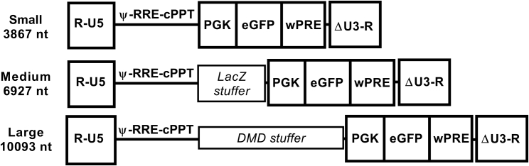 Figure 1