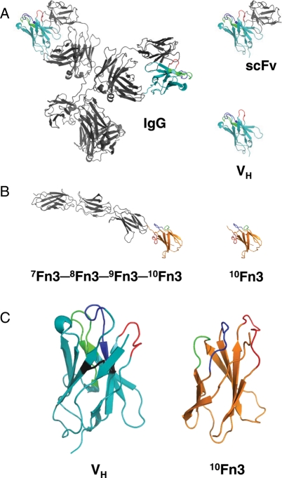 Fig. 1.