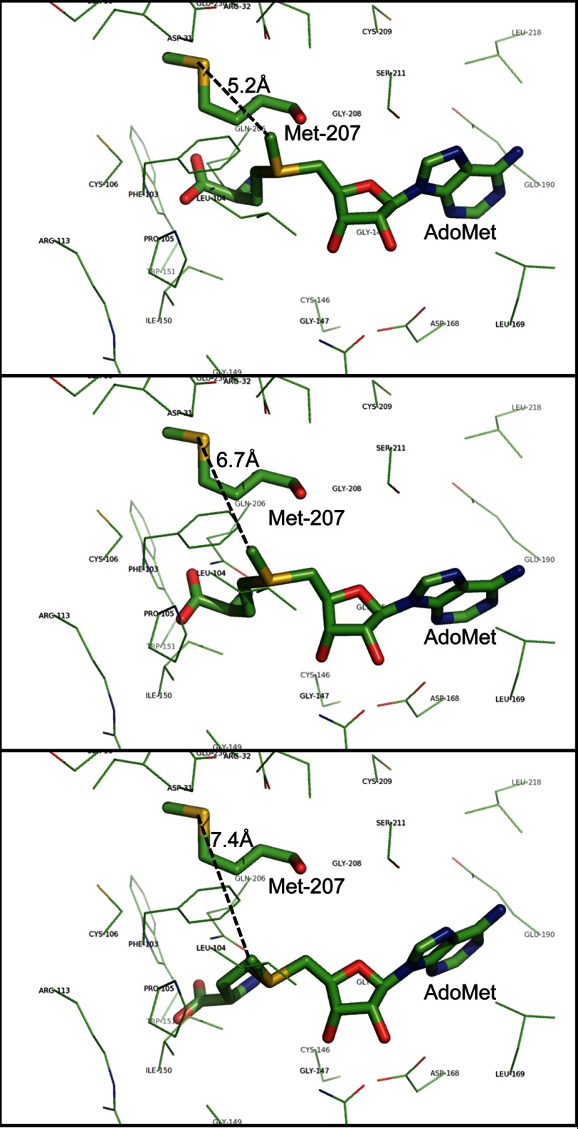 FIGURE 11.