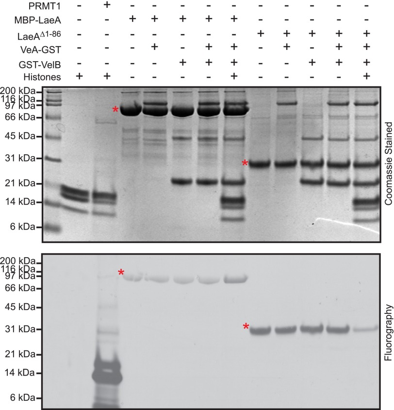 FIGURE 4.