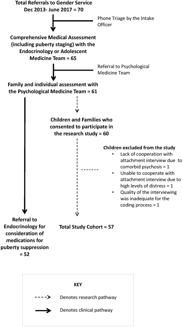 FIGURE 1