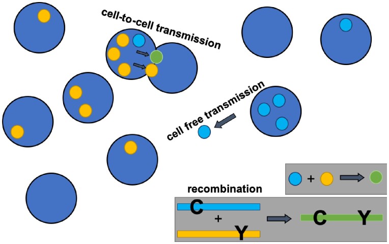 Figure 1.