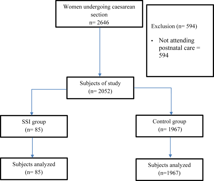 Figure 1