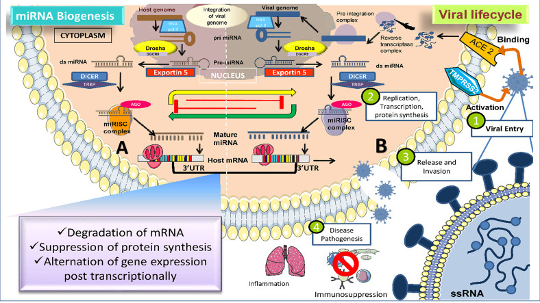 Unlabelled Image