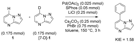 Scheme 5