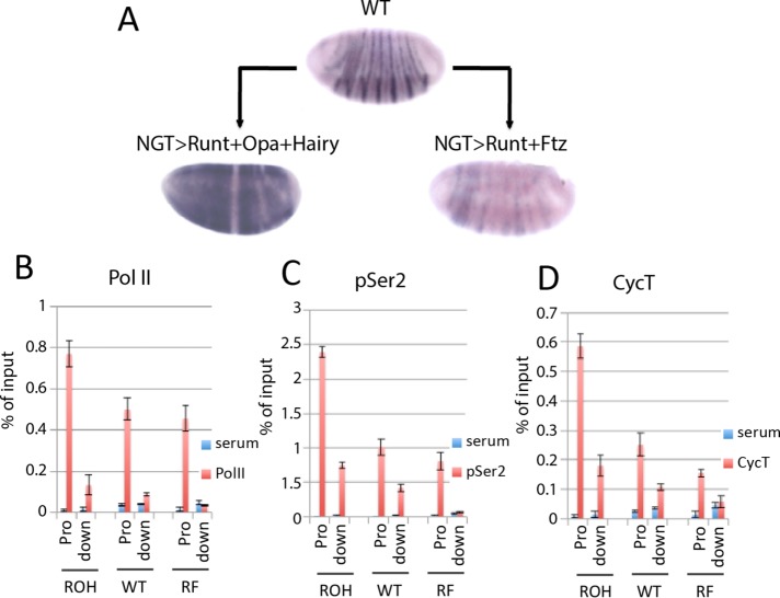 FIGURE 3: