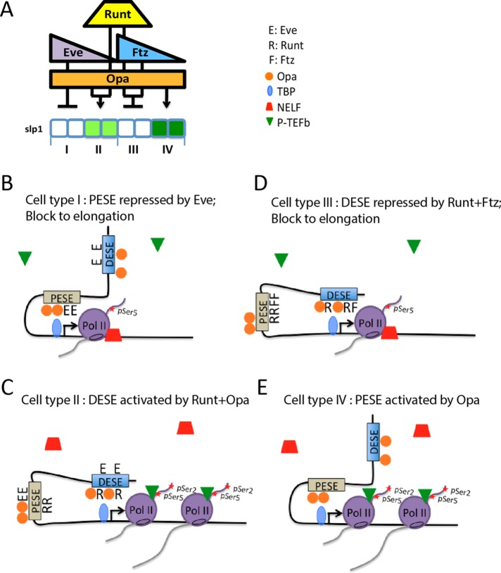 FIGURE 6: