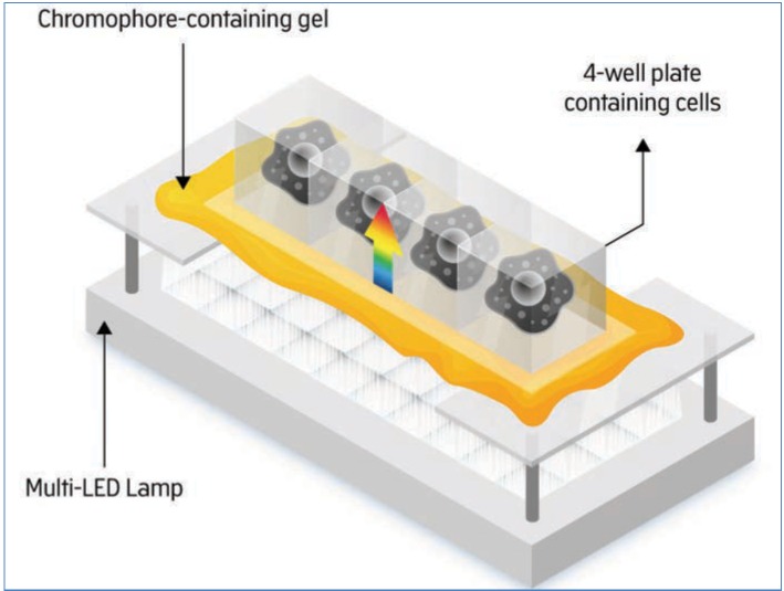 FIGURE 5.