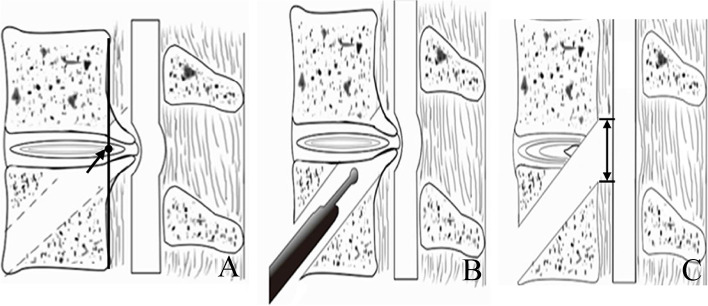 Fig. 2