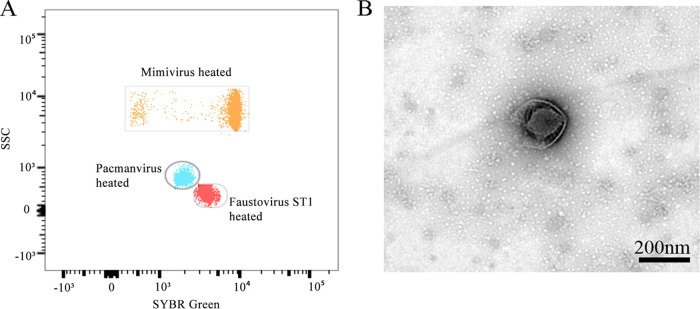FIG 1