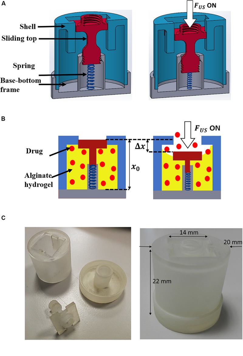 FIGURE 1