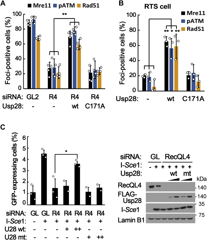 Figure 6