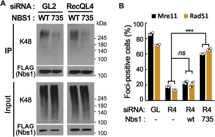 Figure 5