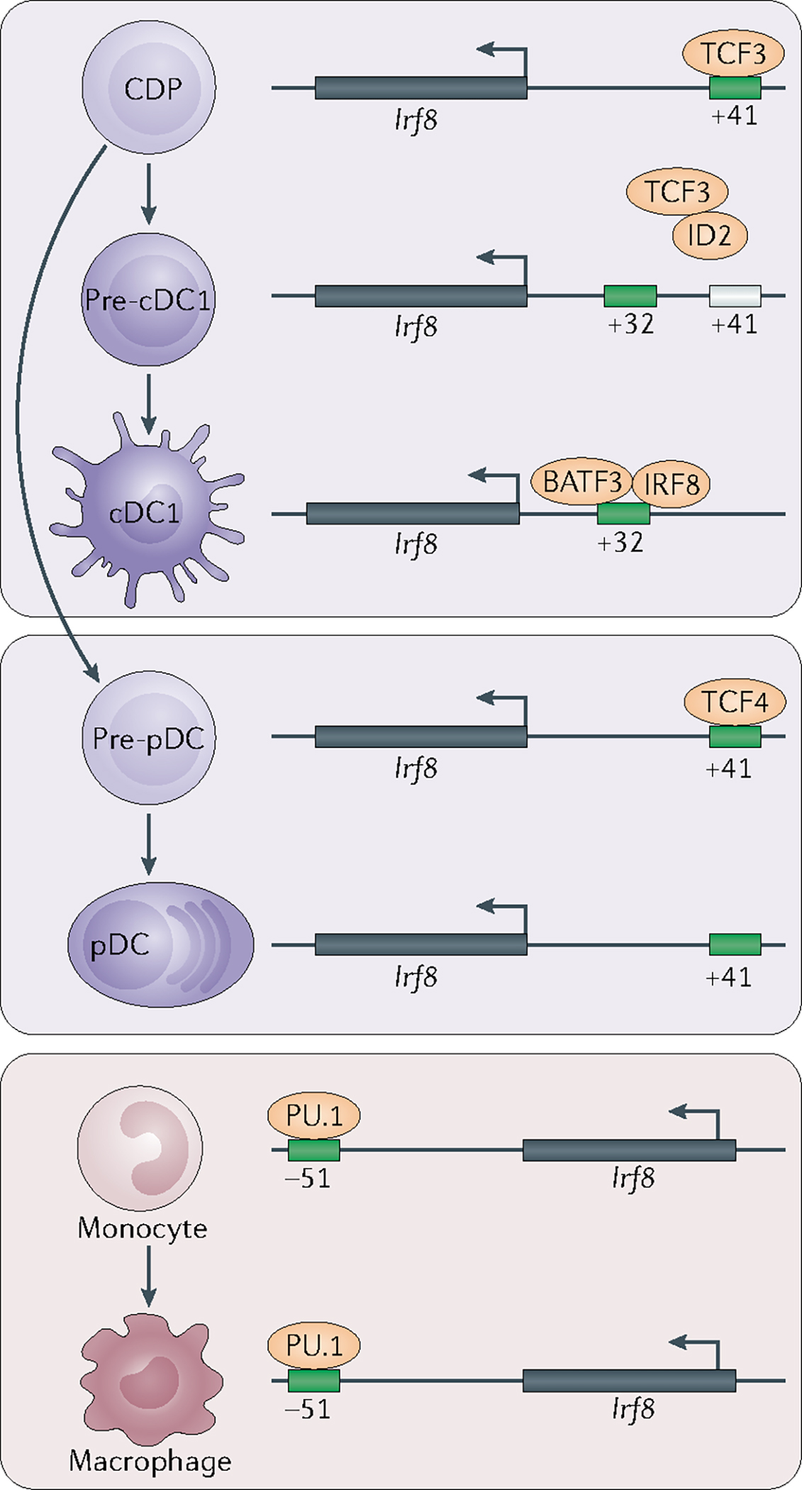 Fig. 2 |