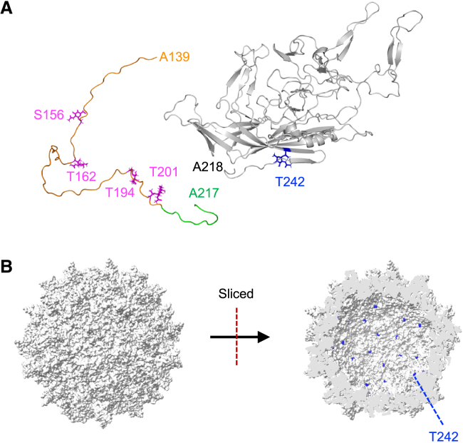 Figure 6