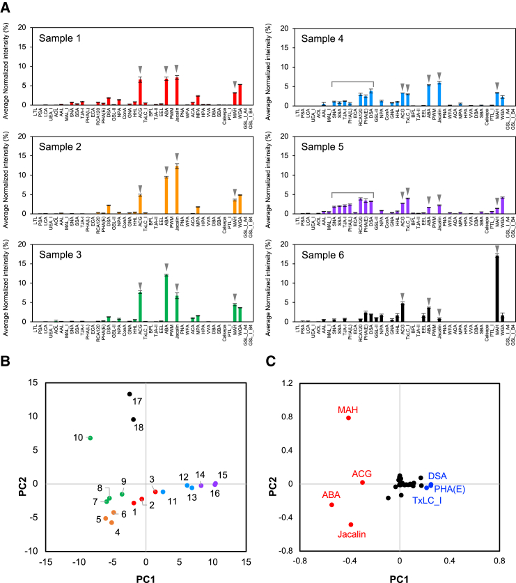 Figure 1