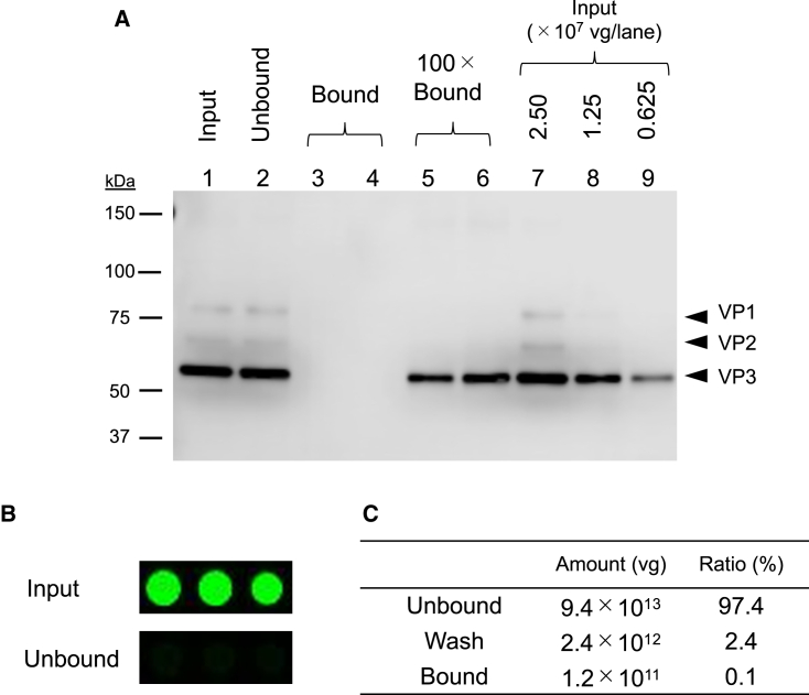 Figure 3