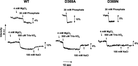 FIGURE 10.