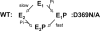 FIGURE 13.