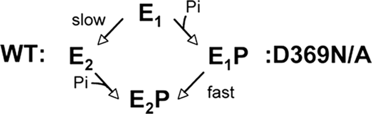 FIGURE 13.