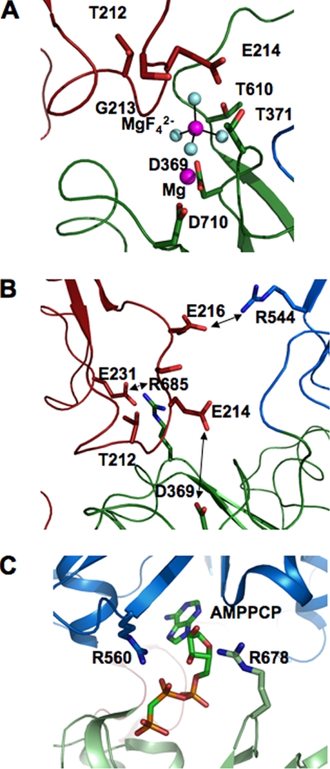 FIGURE 12.