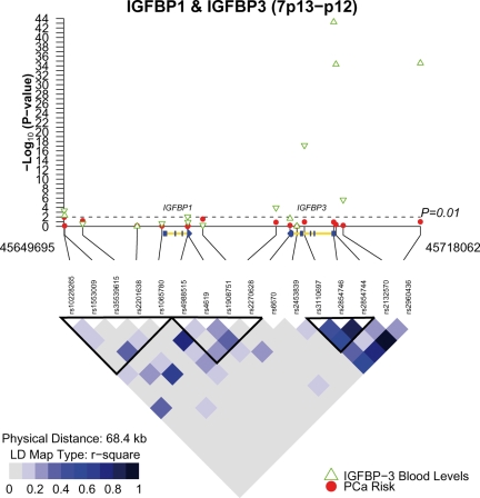 Figure 2.