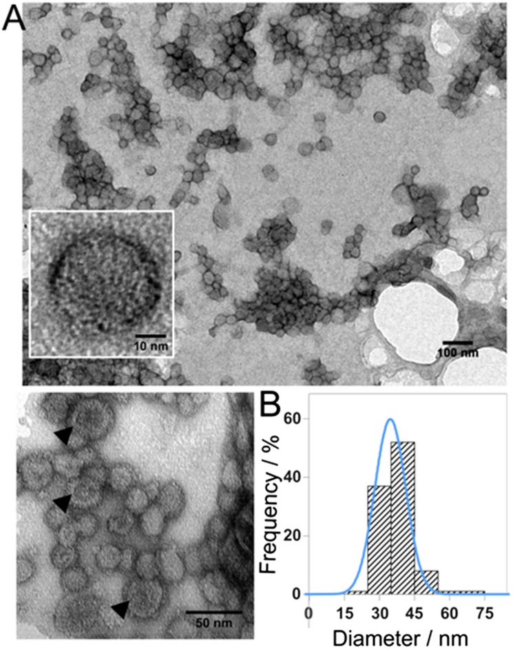 Fig. 3.