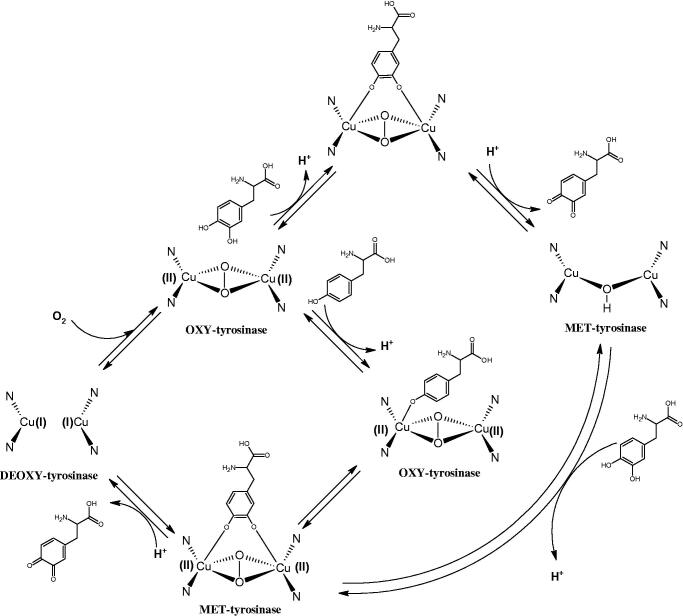 Figure 13.