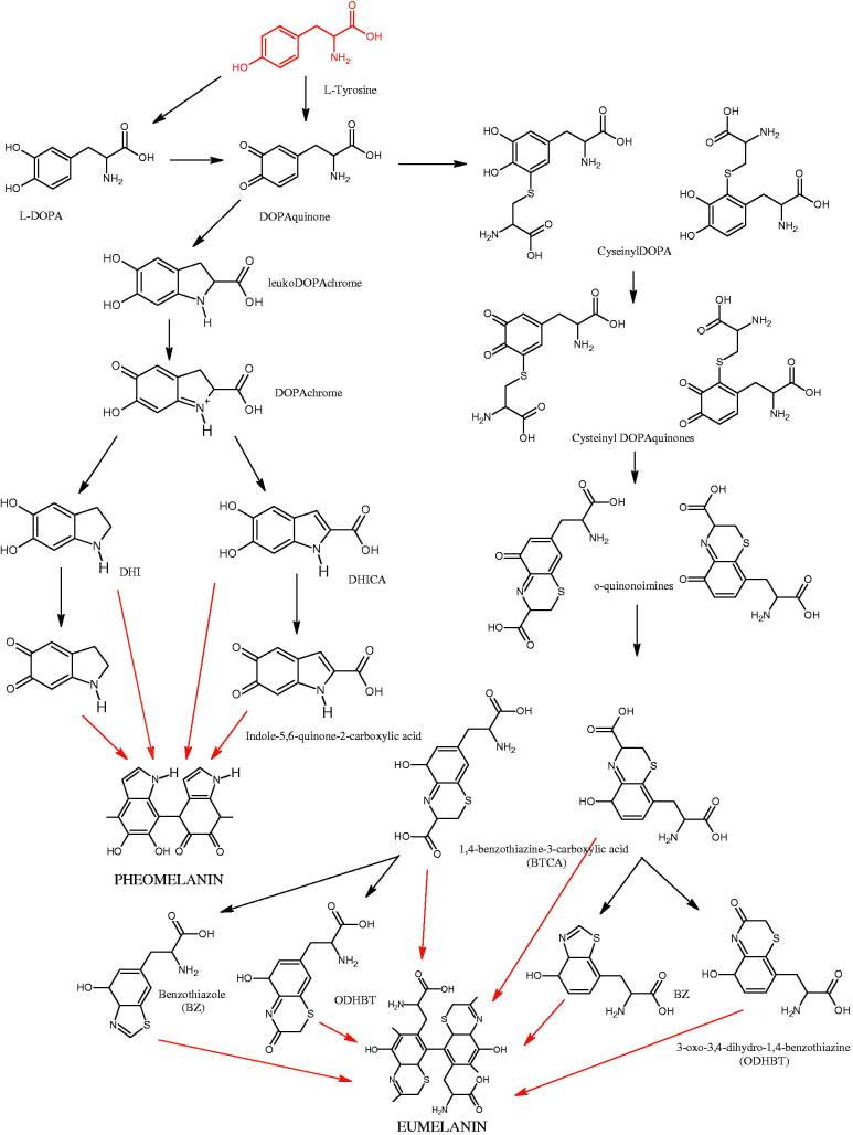 Figure 14.