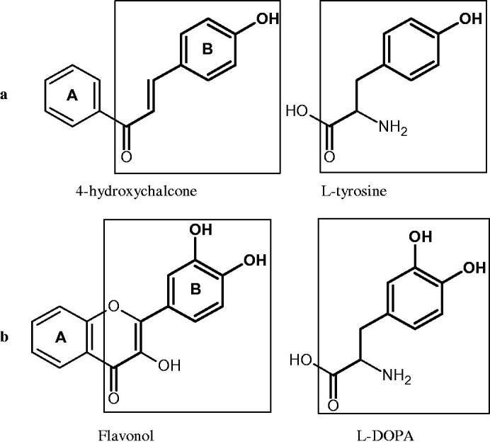 Figure 22.