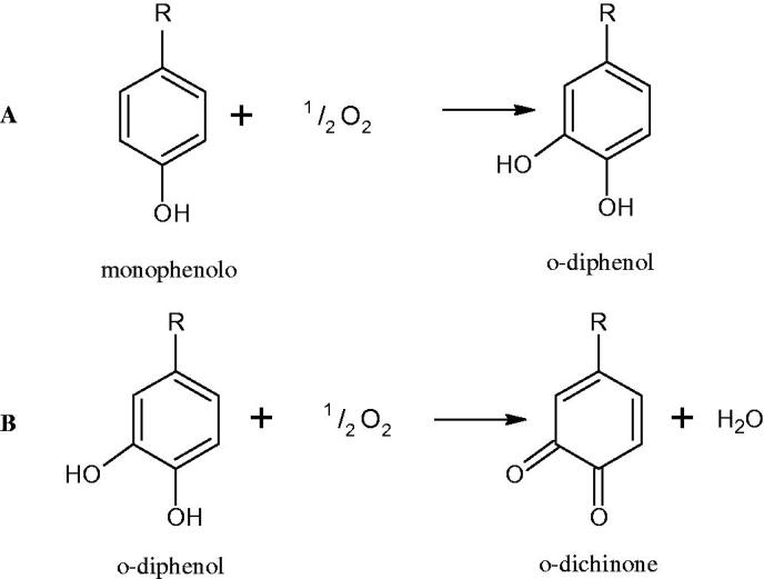 Figure 12.