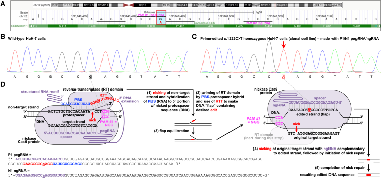 Figure 3