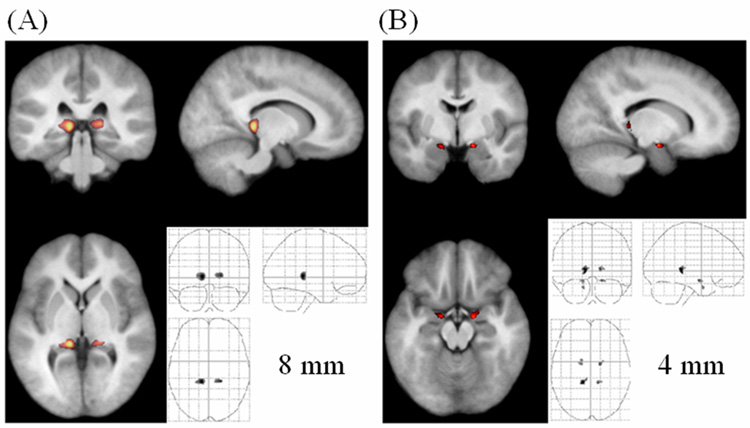 Fig. 7