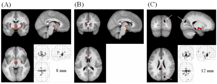 Fig. 8