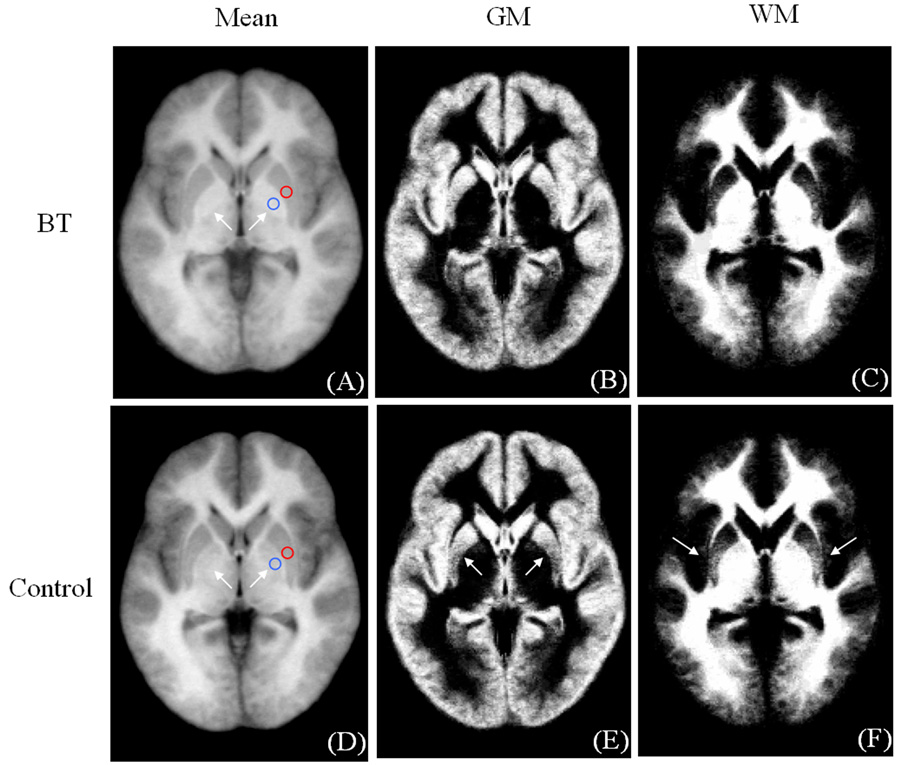 Fig. 10