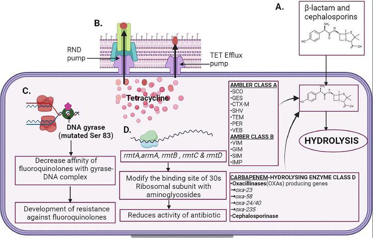 Fig 5: