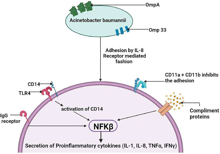 Fig 4: