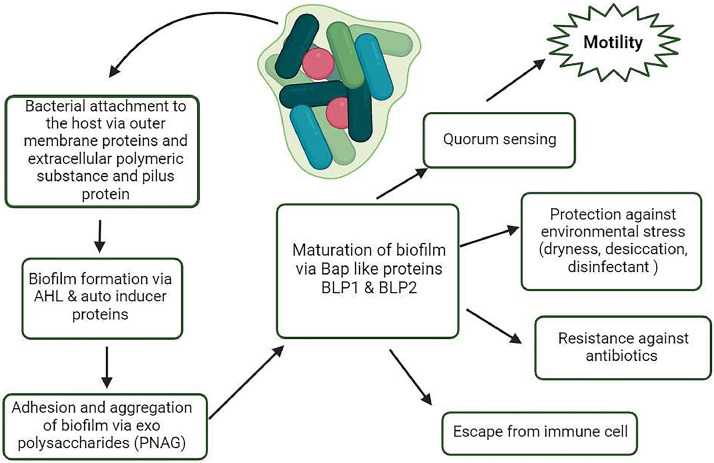 Fig 3: