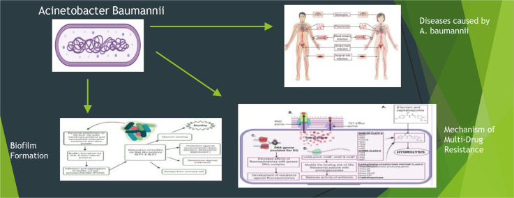 Image, graphical abstract