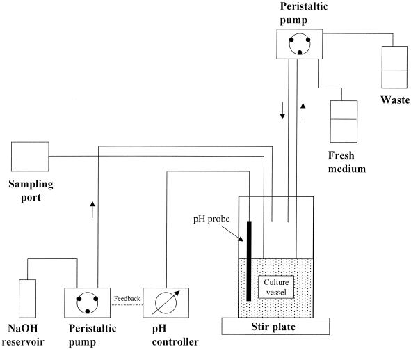 FIG. 1.