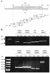 FIG. 2.