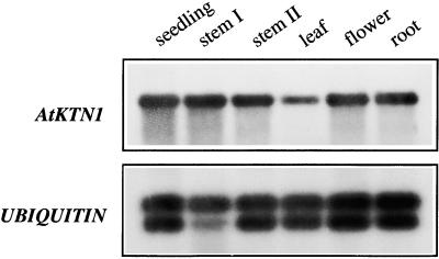 Figure 12.