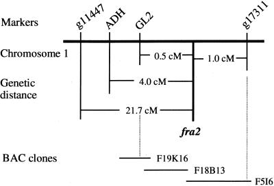 Figure 9.