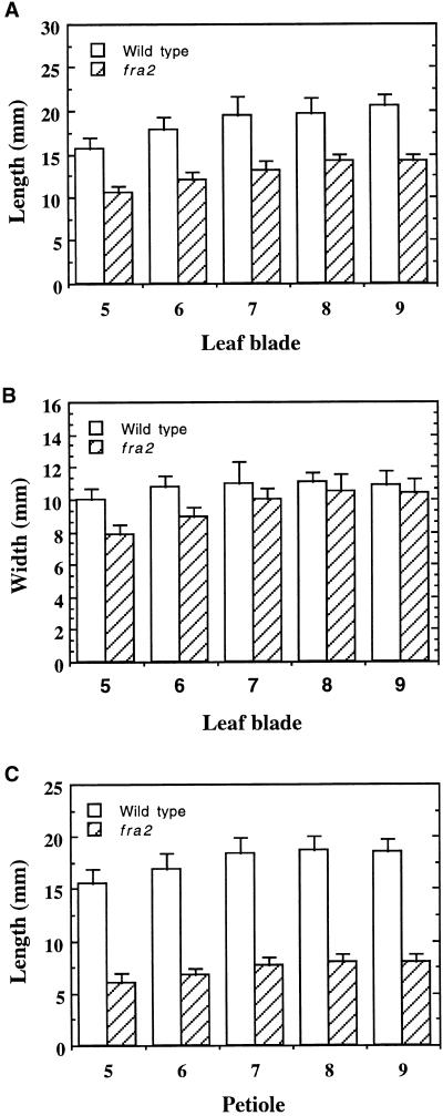 Figure 5.