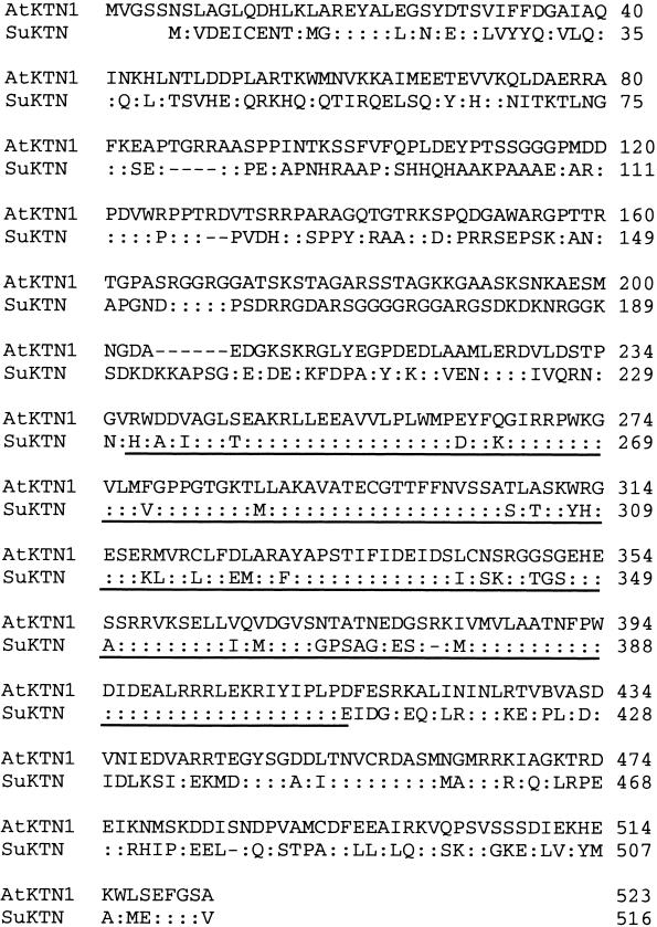 Figure 11.